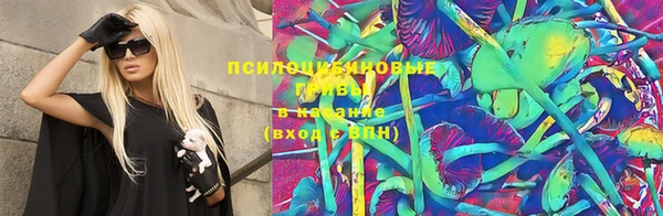 амф Абинск